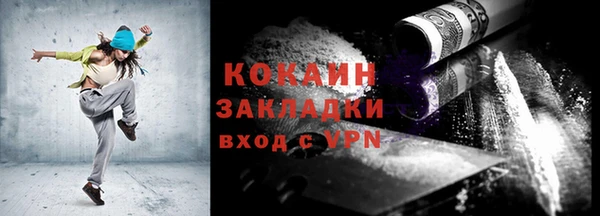 прущие грибы Сосновка
