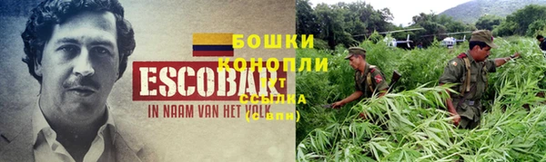 прущие грибы Сосновка