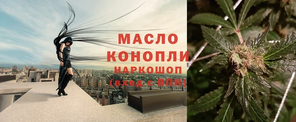 прущие грибы Сосновка