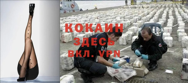 прущие грибы Сосновка
