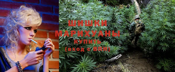 прущие грибы Сосновка