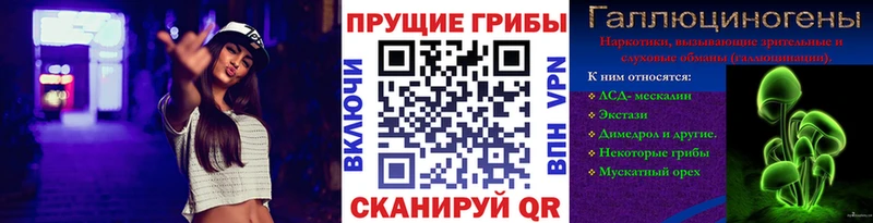 ОМГ ОМГ ссылки  Торжок  Псилоцибиновые грибы Psilocybe 